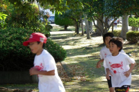 imgp5173 imgp5173