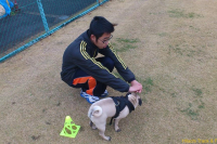 dsc_0957 dsc_0957