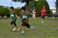 dsc_3656 dsc_3656