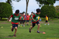 dsc_6100 dsc_6100