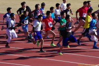 20131201104504