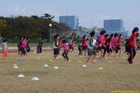 imgp1050 imgp1050