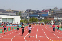 imgp2780 imgp2780