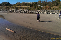 IMAG2925_BURST001