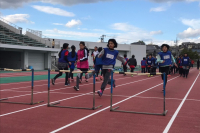 line_278305217236124 line_278305217236124