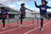 line_278309094635863