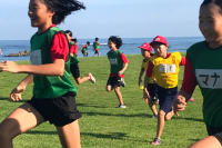 line_282018204724344