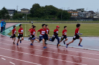 line_1550036466805268 line_1550036466805268