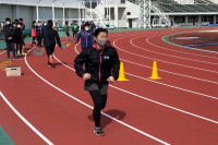 line_118183196183353