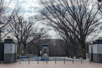 PXL_20240302_004410113