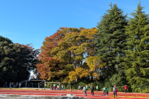 PXL_20251031_232820311