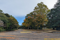 PXL_20251101_002802508